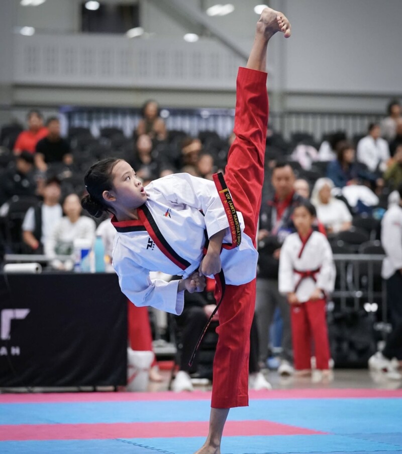☆☆ TAEKWONDO 日本未発売品 Constantinah Nguyen: Taekwondo Competitor - TulsaKids Magazine
