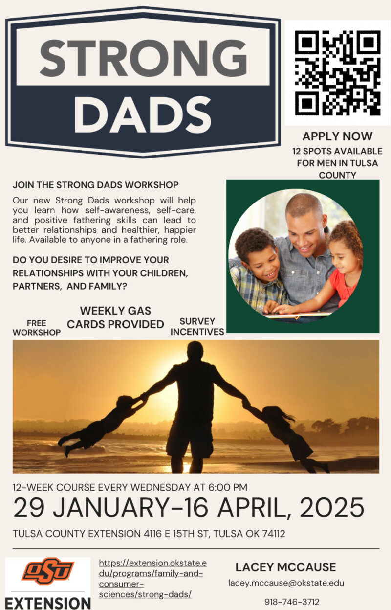 strong dads workshop info sheet