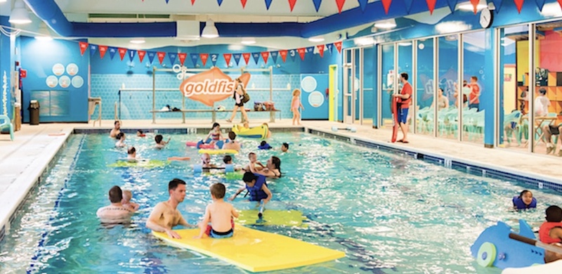 Goldfish Party 2026 2